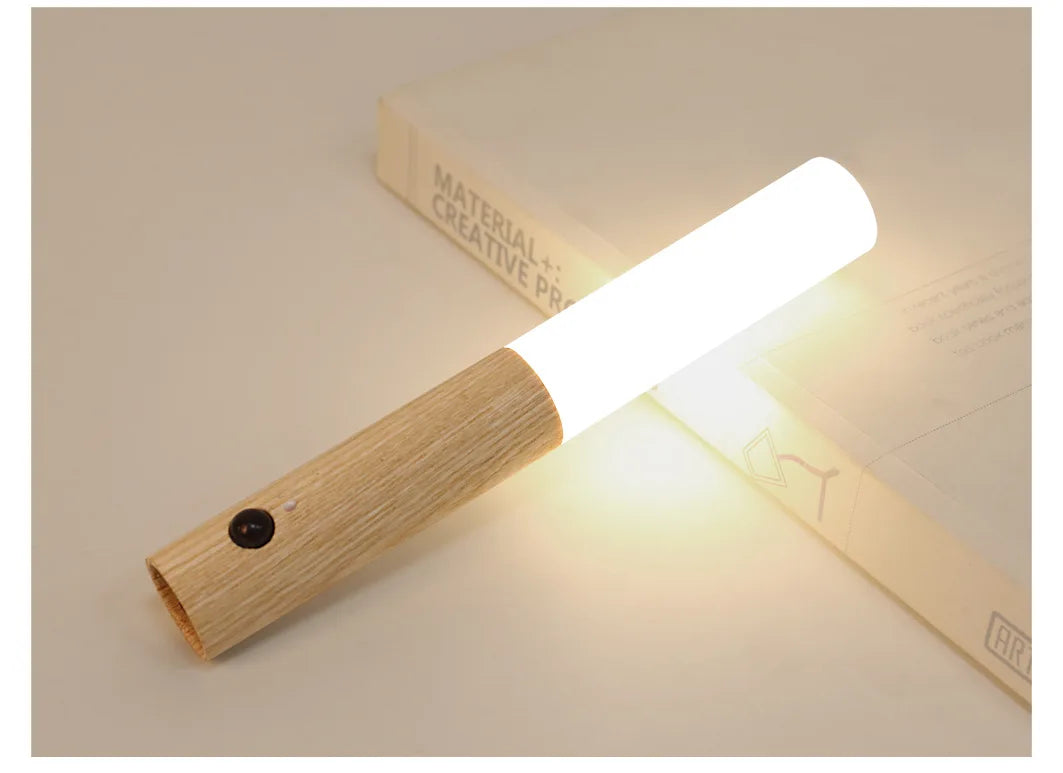 Rechargeable LED Night Light with Human Motion Sensor