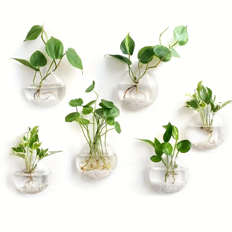 Aura – Minimalist Hanging Glass Vase for Wall Decor (1 or 2 pcs)