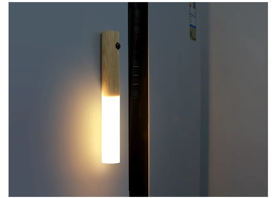 Rechargeable LED Night Light with Human Motion Sensor