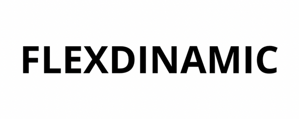 Logo FlexDinamic